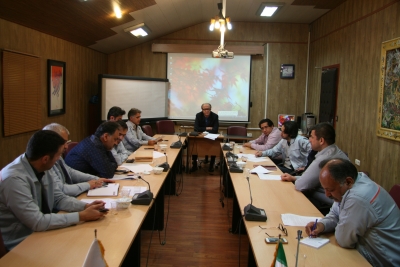 دومين نشست کميته راهبري شرکت